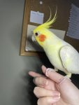 IMG_9562.jpeg