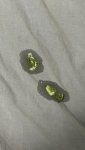 IMG_1132.jpeg