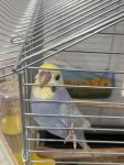 IMG_8724.jpeg