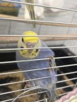 IMG_8725.jpeg