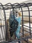 IMG_3518.jpeg