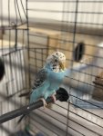 IMG_3519.jpeg