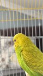 IMG_0364.jpeg