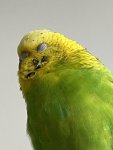IMG_8448.jpeg