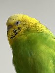 IMG_8447.jpeg