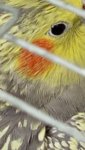 IMG_20260919_231827.jpg