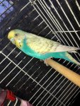 IMG_5884.jpeg