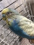 IMG_5887.jpeg