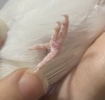 IMG_3048.jpeg
