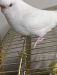 IMG_3053.jpeg