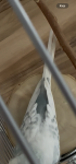 IMG_3052.png