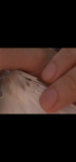 IMG_3050.png