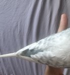 IMG_3054.jpeg