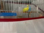 IMG_20260922_082600_624.jpg