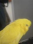 IMG_1136.jpeg