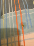67F20784-1916-4312-9C03-83688E7699F5.png