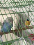 IMG_8578.jpeg