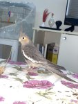 IMG_7574.jpeg