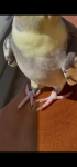 IMG_2072.png