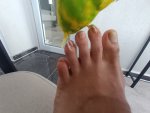 IMG_20260926_142949.jpg