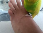 IMG_20260926_142931.jpg