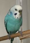 IMG_0169.png IMG_0169.png