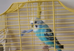 IMG_0174.png IMG_0174.png