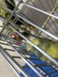 IMG_1353.jpeg
