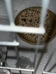 IMG_0959.jpeg