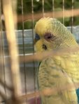 IMG_0305.jpeg
