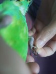 IMG_20260930_183604.jpg