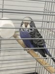 IMG_8837.jpeg