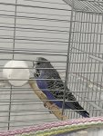 IMG_8834.jpeg