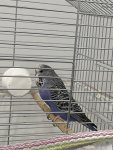 IMG_8832.jpeg