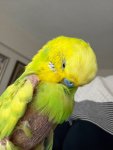 IMG_9648.jpeg