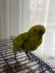 IMG_9642.jpeg
