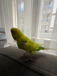 IMG_9649.jpeg