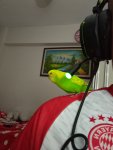 IMG_20231012_221636.jpeg