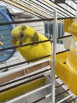IMG_4174.jpeg