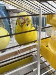 IMG_4175.jpeg