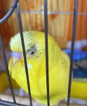 IMG_0350.jpeg