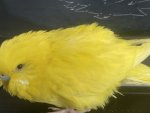 IMG_1568.jpeg