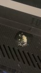 IMG_1578.jpeg