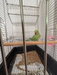 IMG_0470.jpeg