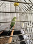 IMG_0469.jpeg
