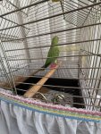 IMG_0468.jpeg