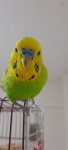 1791304203052.png