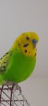 1791304256907.png