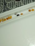 IMG_20261008_010935.jpg
