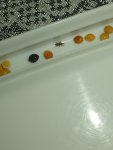 IMG_20261008_010943.jpg